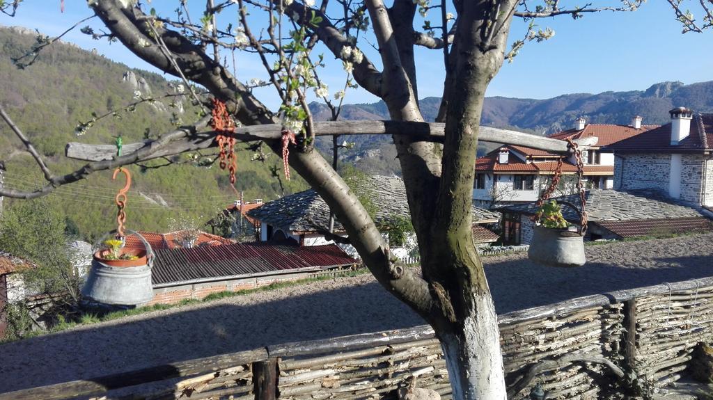 Semana Guesthouse Vrata 외부 사진